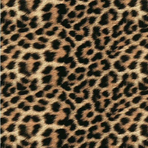 159,703 Cheetah Print Royalty-Free Photos and Stock Images